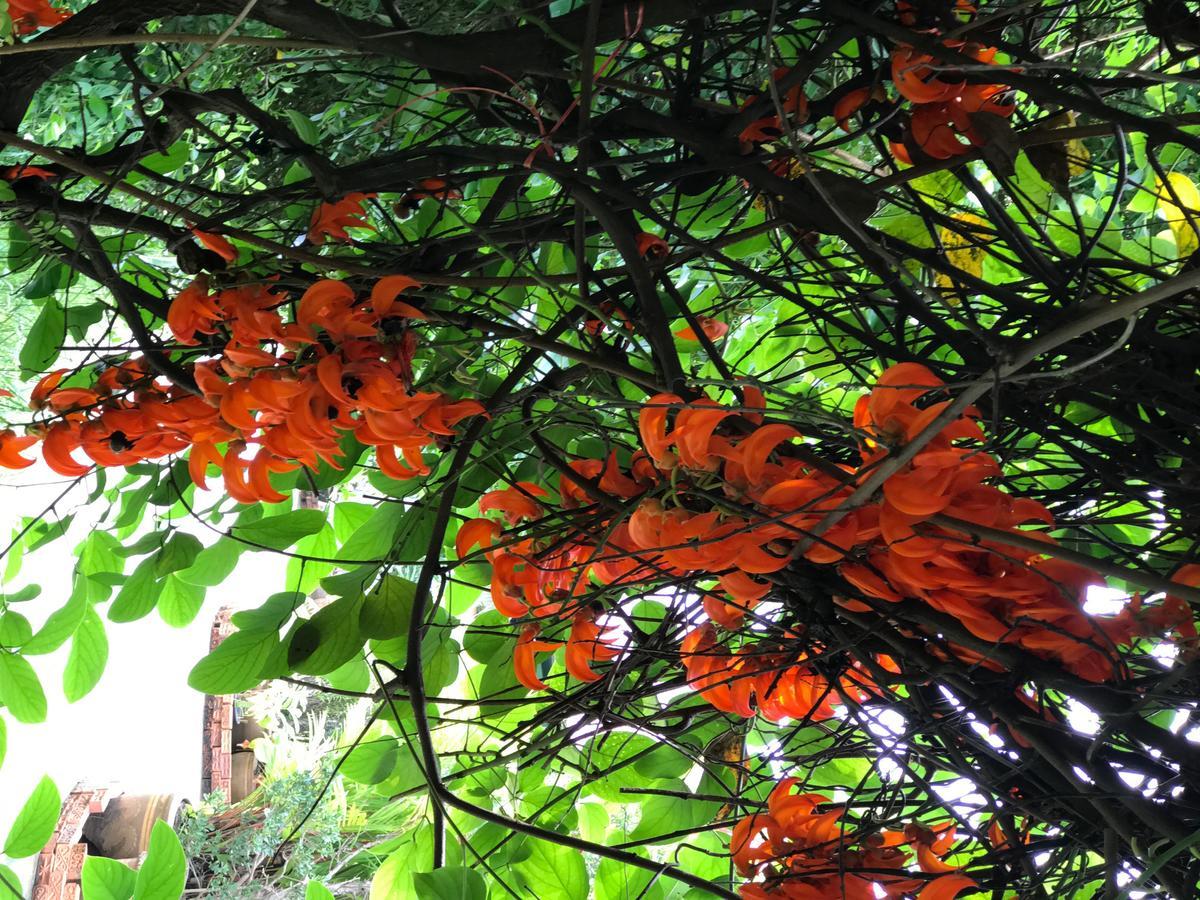 Chaiyo Resort Phuket Zewnętrze zdjęcie